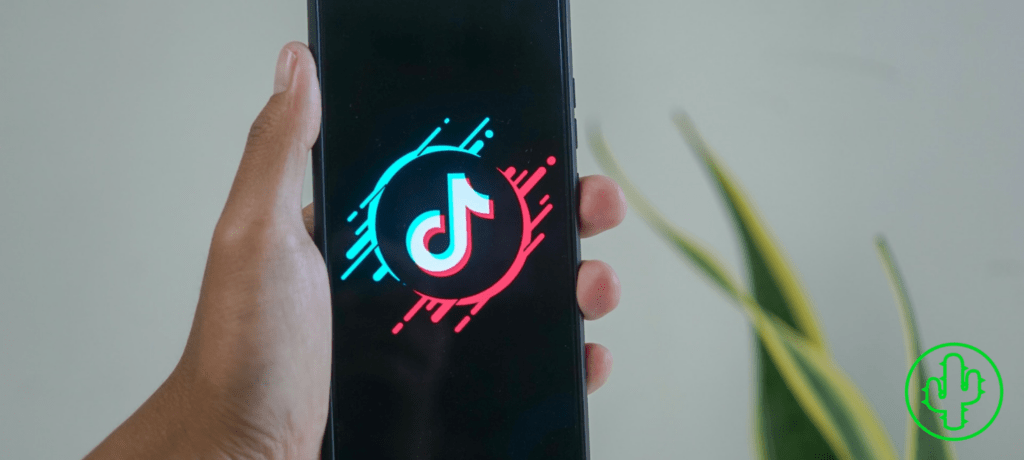Using TikTok To Your Company’s Advantage